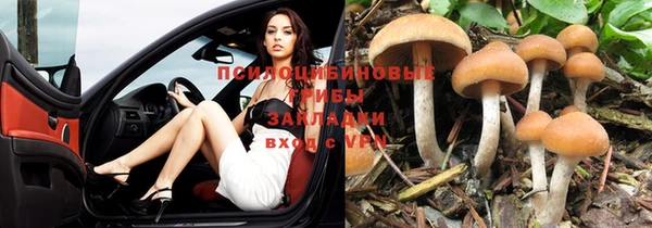 дмт Балабаново